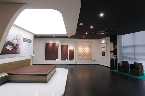 可喜安家庭喜迎新力量，健康咨詢(xún)服務(wù)為行業(yè)注入新活力